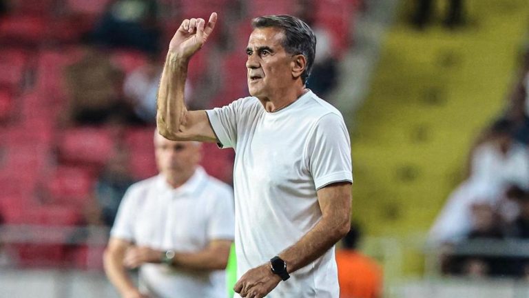 Şenol Güneş: Oynadığımız oyun tatmin edici değil