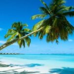 Hem Visa hem de Ucuz: Bilinmeyen Turizm Durumu Mauritius – Breaking Life News