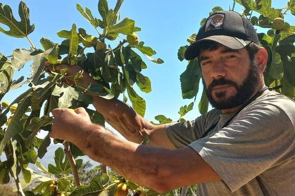 Il primo trapianto di braccio di Türkiye era nella storia! Sta coltivando con le sue braccia di trapianto: “Sto costruendo la mia vita”