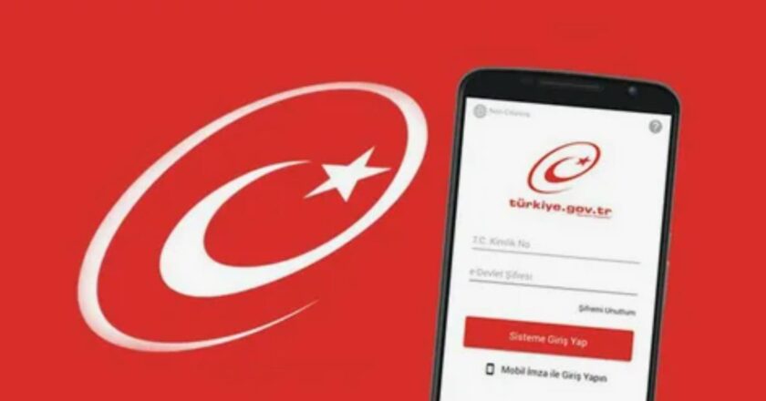 E Devlet platformunda çoğu kişinin bilmediği işlemler dikkat çekiyor
