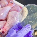 Mutfakta Zehirlenmelere Neden Olan Gıda: Hayat Kurtaran Altın Kuralı Sakın Atlamayın!