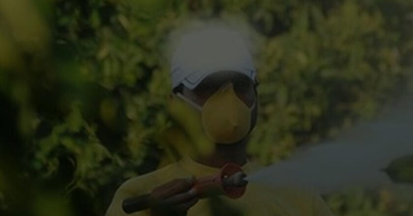 Böcek İlacı Satışında Yenilik: Reçetesiz ve İnternet Üzerinden Satış Yasaklandı